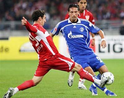 示了他们的 示了他们的